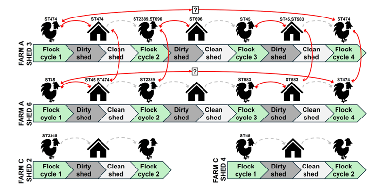 /assets/research-folder/thumbnail/Efficacy-of-cleaning-and-disinfection-procedures-for-controlling-Campylobacter-contamination-in-broiler-chicken-sheds_Image.png